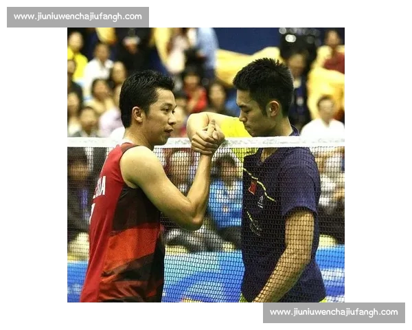 林丹与陶菲克巅峰对决揭开羽坛黄金时代的经典记忆传奇对抗与荣耀传承